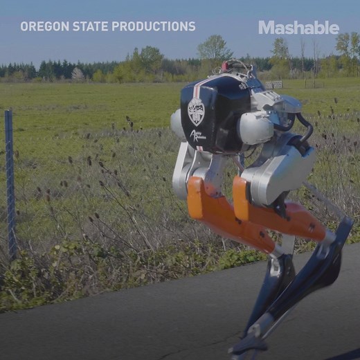 2.5M views · 9.4K reactions | A robot just ran a 5K, and now we feel bad about ourselves. | Mashable | Facebook