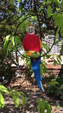 Parrot Statue Sculpture Tropical Hanging Parrot On Ring Lawn Decor for Nature Lovers Tropical Bird Collectors by Gifts