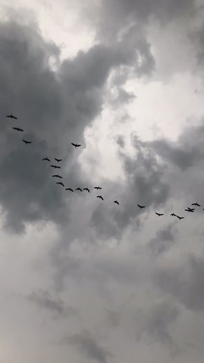 hidden gemnya kasongan #jogja #hiddengem #yogyakarta #jogjafoodhunter #jedagjedug