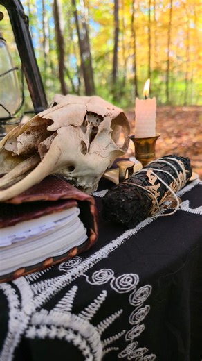 Behind the scenes of a moody photoshoot with Dylan Commons in my grandpa's woods   | Digital Wolf Network | Facebook