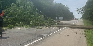 All lanes are back open on the Bypass after they were shut down by a large tree