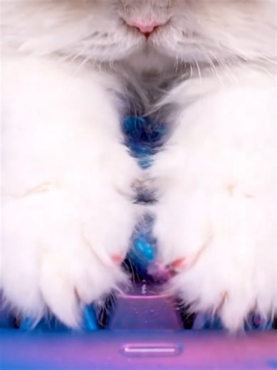 Engaging ASMR Keyboard Sounds for Relaxation