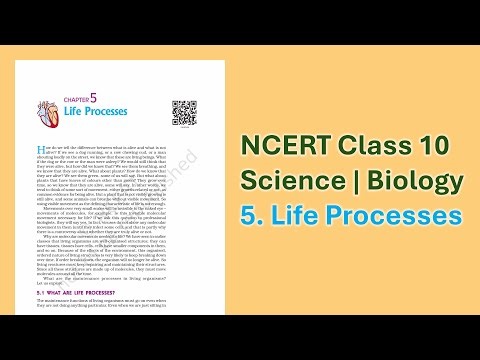 NCERT Class 10 Science Ch 5 - Life Processes