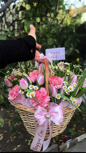 Beautiful Tulips to Brighten Your Spring