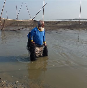 16K views · 343 reactions | Clever 70 Years Old Man Hunting Fish by Cast Net - Amazing Fishing Technique | Fishing & Village Tradition | Facebook