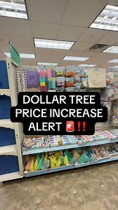 The Latest Price Increase at Dollar Tree!! 😳 #dollartree | Dollar Tree Dollie