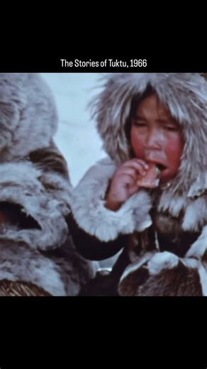1960’s Nostalgia on Instagram: "Stories of Tuktu (1966) was a Canadian children’s TV series produced by the National Film Board of Canada and CBC, showcasing the life and traditions of the Inuit through the adventures of a young boy named Tuktu. Designed as an educational program, it provided an authentic glimpse into Arctic culture with narration and reenactments."