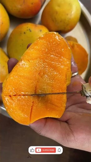 चला आंबे खायला | हापूस आंबा | Hapus Mango | Alphonso Mango | Mango Recipes #konkan #shorts #mango