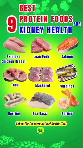 9 Best Protein Foods for Kidney Health #food #kidney #kidneyhealth