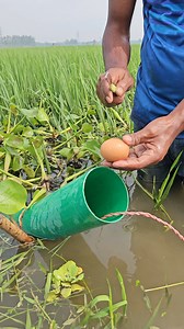1.6M views · 5.2K reactions | Eel fishing technique with egg | Fish Hunter Life | Facebook