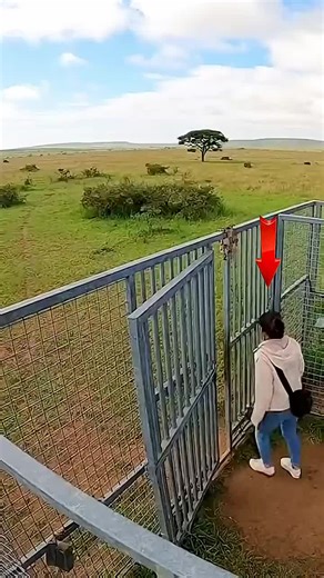 Exploring the World of Smart Robots