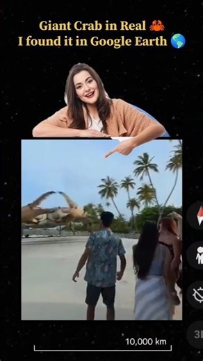 Google Earth Caught a Giant Crab?!🦀😱#shorts #googleearth #mystery #viral #earthmysteries #googlemaps