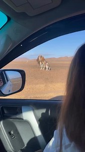 📍 6-Day Itinerary – Marrakech ➝ Merzouga Desert ➝ Marrakech 🗓 Day 1: Marrakech – High Atlas Mountains – Ait Ben Haddou – Ouarzazate • Departure from Marrakech, crossing the High Atlas Mountains via the Tizi n’Tichka pass (2,260 m). • Visit to the famous Kasbah of Ait Ben Haddou 🏯. • Stop in Ouarzazate, known as the “Hollywood of Africa”. • 🛏 Overnight stay in a hotel or riad in Ouarzazate. ⸻ 🗓 Day 2: Ouarzazate – Dades Valley – Todra Gorges • Route towards the Valley of Roses 🌸 and the Dad