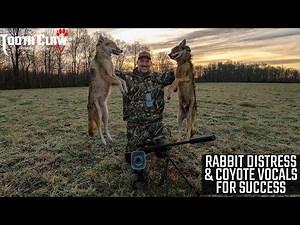 Using Rabbit Distress and Coyote Vocals For Coyote Hunting Success