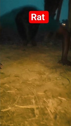 #bollywood #song #movie Hindi movie watch online video #1000subscriber #20ksubscriber #100k