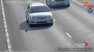 This kitten uses up all its nine lives after narrowly avoiding getting hit by several cars and trucks on a busy Russian highway. | Global News