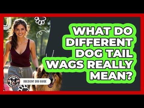 What Do Different Dog Tail Wags Really Mean? - Obedient Dog Guide