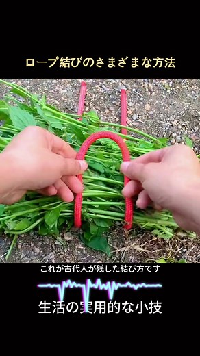 古代から学ぶロープ結びの技術