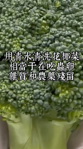 Stop washing broccoli with plain water! You're eating eggs, dirt, and pesticides. Here is the cor...