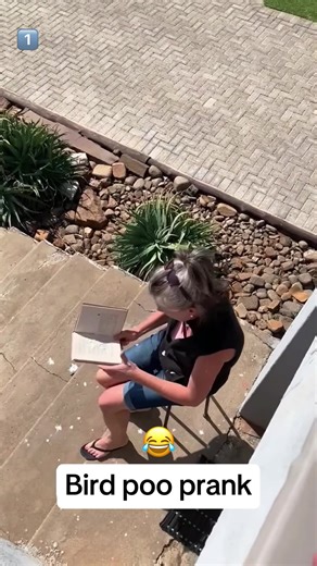 Fake Bird Poop Prank Reaction: Hilarious Moments