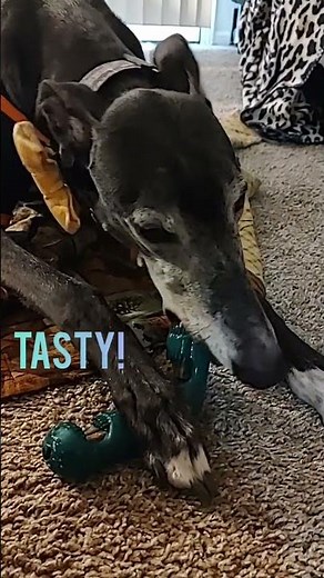 Mythic tries woof's bite n brush.