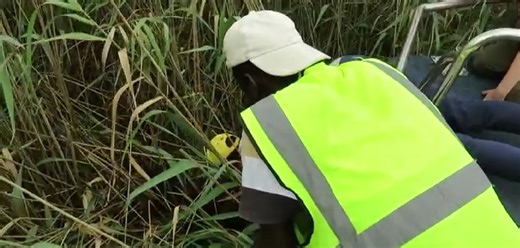 WATCH: Dog rescued from St Lucia estuary | Zululand Observer