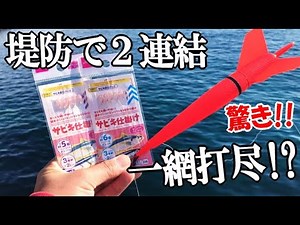 100円サビキを2つ繋げて海にぶっこんだら1投目から想定外の釣果が！延縄漁みたいにアジが12匹釣れるのか試してみた