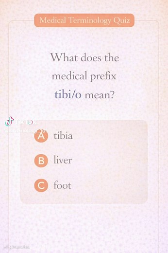 Understanding Medical Terminology: Prefixes Simplified
