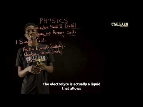SS 3 | Physics | Electric Field II (Cells) | Week 4