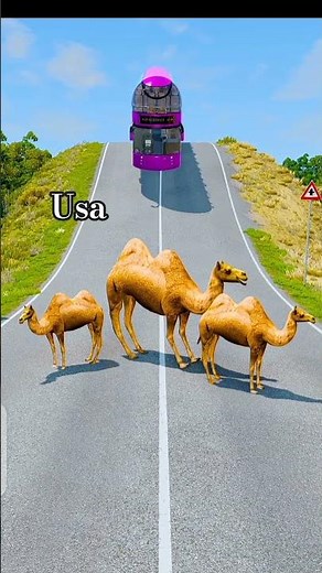 Beautiful Cars & Longer Bus vs Big Dog 3D Character Model #beamng #usagame #usa