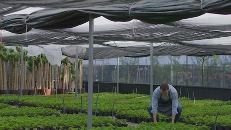 Free Baking Videos: 4K & HD | No Watermark | Download Now