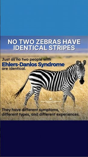 🎗️ May is Ehlers-Danlos Syndrome (EDS) Awareness Month ⁣⁣🦓 - #shorts