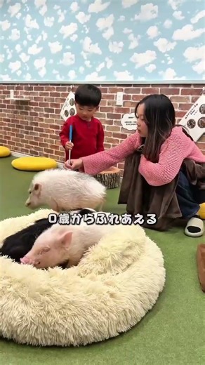 We look forward to your visit. 🐽 #pig