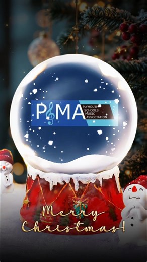 ❄️ Hope everyone is enjoying winter break! Merry Christmas from all of us at PSMA! 🎄 | PSMA
