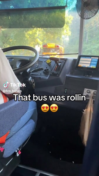 Understanding School Buses: Types and Drivers' Roles