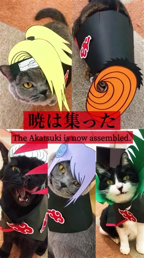 暁の組織 - ナルトの世界に迫る