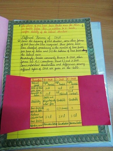 Class 12 || Biology Project File || On DNA|| #cbseclass12