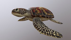 Green Sea Turtle - 3D model by Mutchi (@3D_M_IKD)