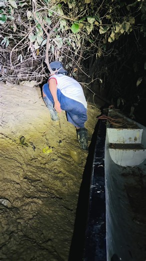 Noche inolvidable en la selva amazónica: experiencia auténtica