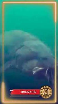 The Mysterious Lake Baikal Swimmers: Fact or Folklore?