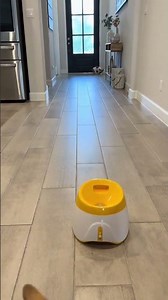 Automatic Dog Ball Launcher, Dog Ball Thrower with 3 Launching Distance, Interactive Dog Toys