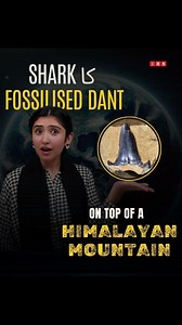 In the high mountains of the Himalayas, scientists have found many amazing fossils of marine creatures, plants, and even prehistoric mammals. From shark teeth to ammonites, marine reptiles to ancient tree leaves, these fossils tell a powerful story: the Himalayas were once deep under the ocean. This video explores how these fossils tell the story of Earth’s changing face, how oceans turned into mountains, and forests grew where sea creatures once swam. It’s not just about fossils, it’s about how