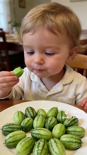 How to Grow Cucamelon Seeds: A Complete Guide