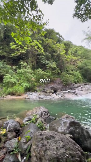 What is SWM? Meaning and Trends Explained