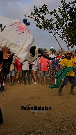 17K views · 70 reactions | Pobre Matatan  Lo Que Se Vivió En Palo de agua  #music #reels #Bailarinas | San Antero Travesia | Facebook
