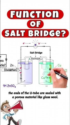Function of salt bridge in electrochemical cell #science #electrochemical #cell #saltbridge