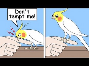 Funny Comics With Parrot Thought Twist #11 | Parrot Comic Dub