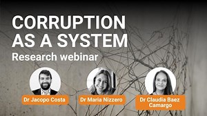 How to tackle corruption as a complex adaptive system | Basel Institute on Governance
