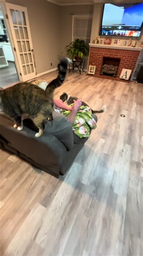 Delicious Cajun Cooking Recipes to Savor