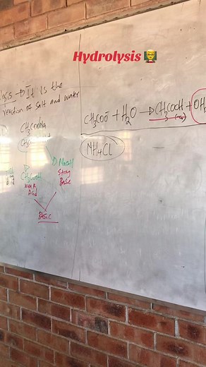 Hydrolysis Explained: Basic Concept and Examples